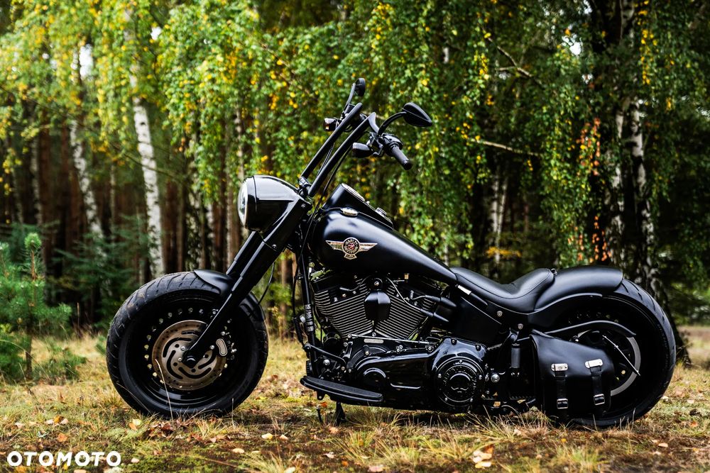 Harley-Davidson Softail Custom - 5