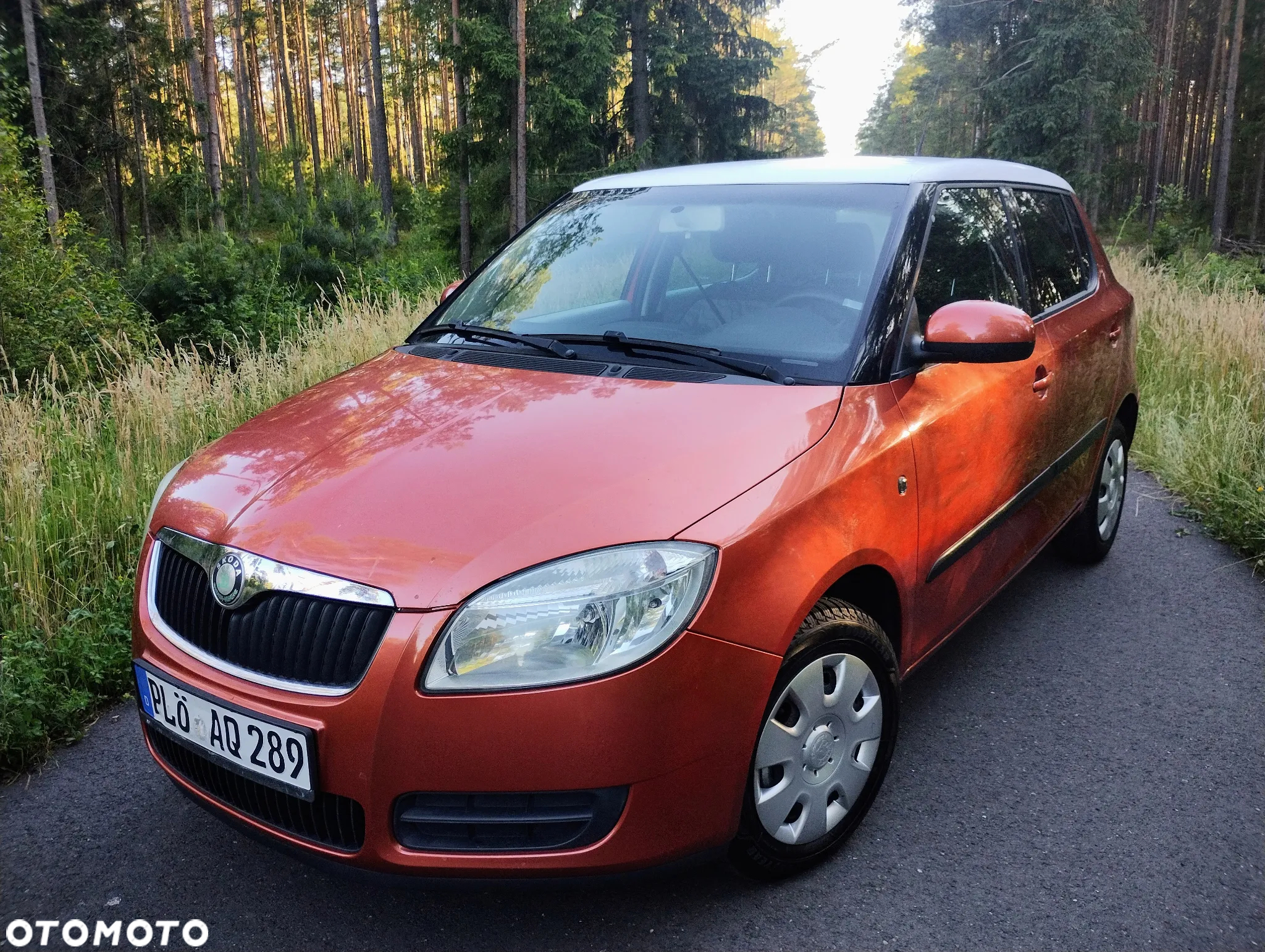 Skoda Fabia - 2