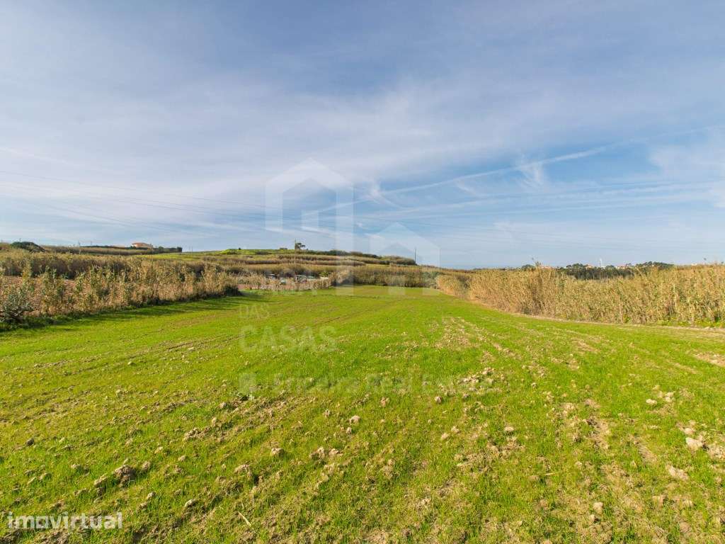 Vende Terreno - Ericeira 13 km, A Casa das Casas - Grande imagem: 5/11