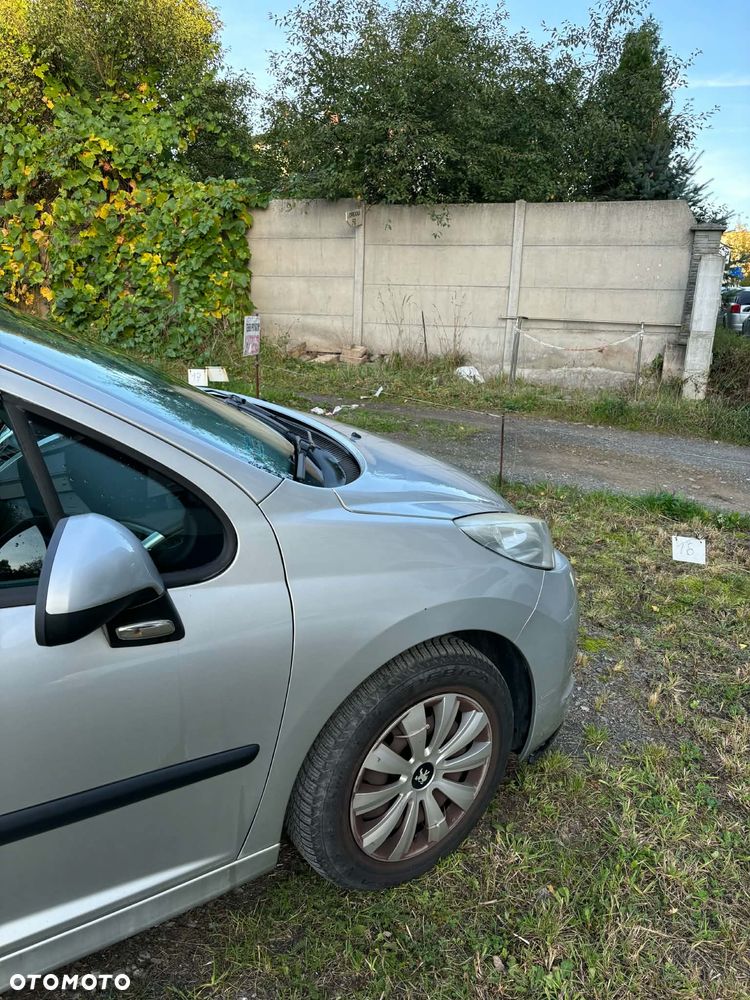 Peugeot 207 - 17