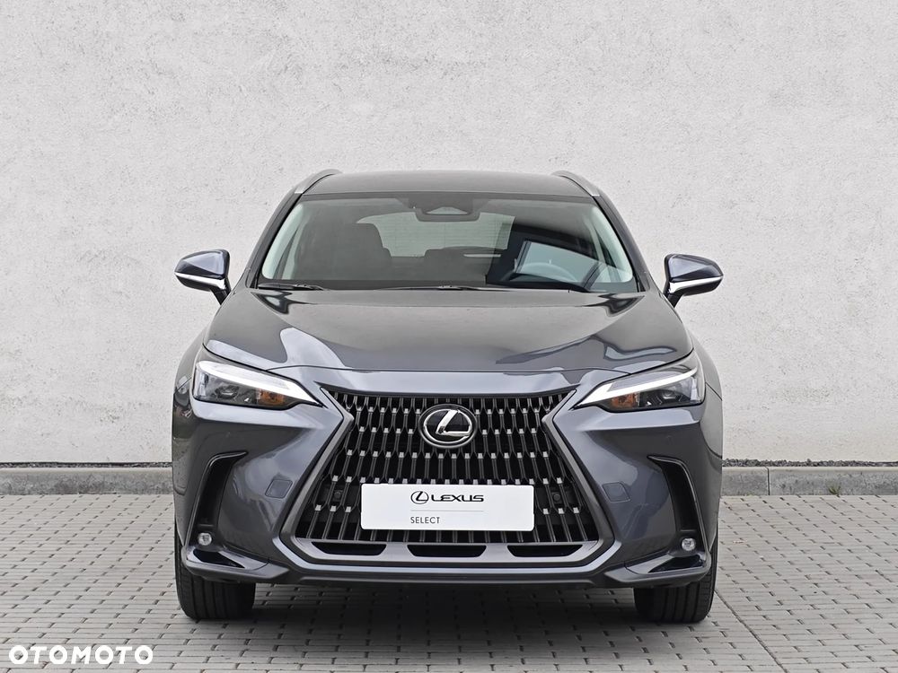 Lexus NX 350h Prestige AWD - 7