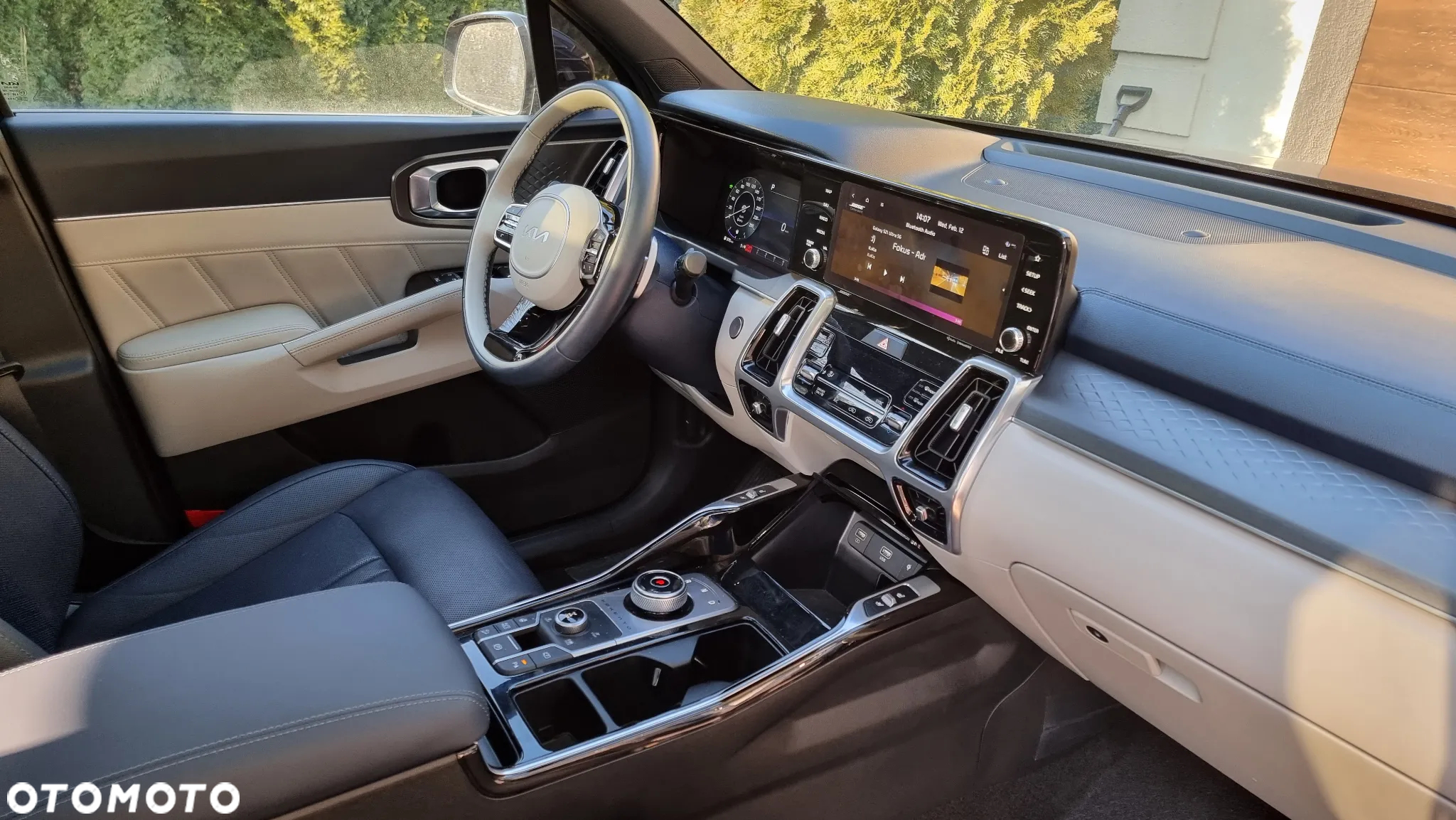 Kia Sorento - 19