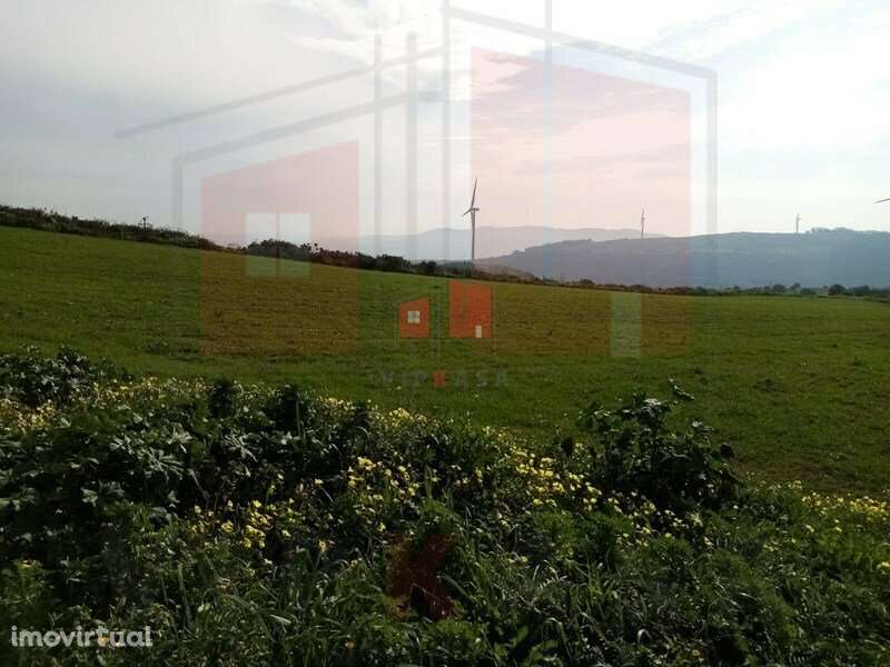 Terreno rustico 8560 m2 , baixa de preço. - Grande imagem: 4/11