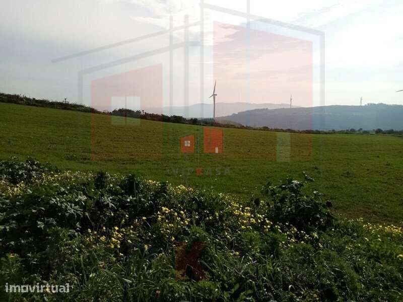Terreno rustico 8560 m2 , baixa de preço. - Grande imagem: 4/11