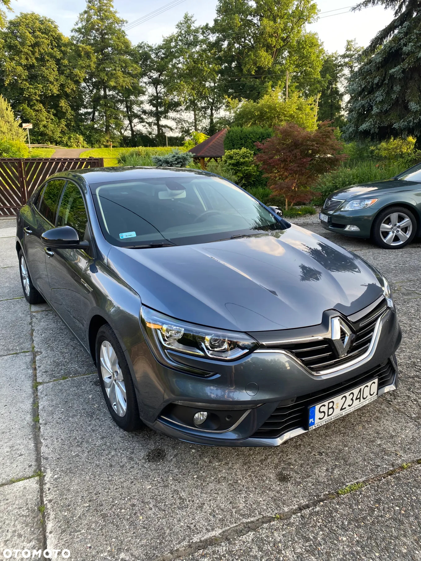 Renault Megane 1.3 TCe FAP Limited - 2