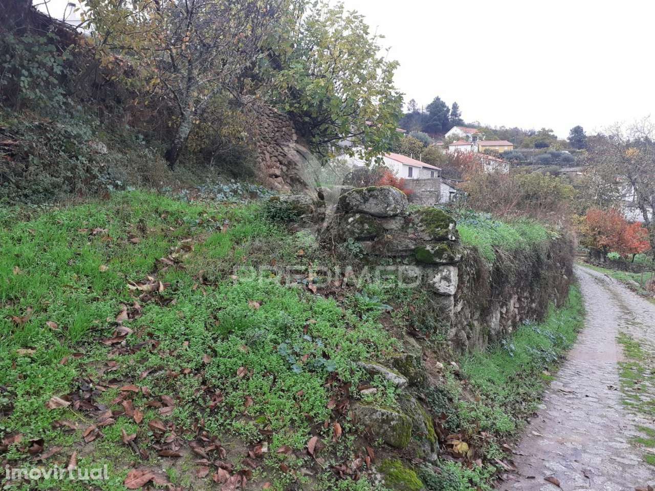 Terreno para Construção - Frechão - Grande imagem: 4/9