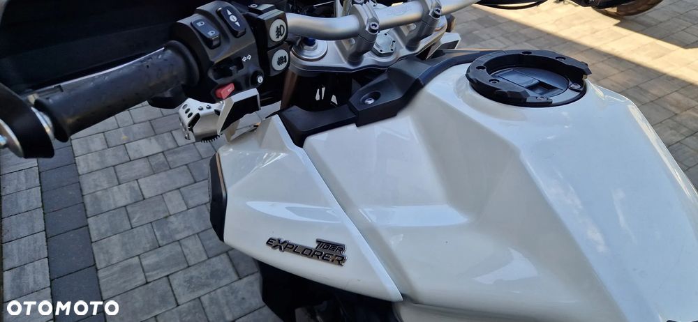 Triumph Tiger - 18