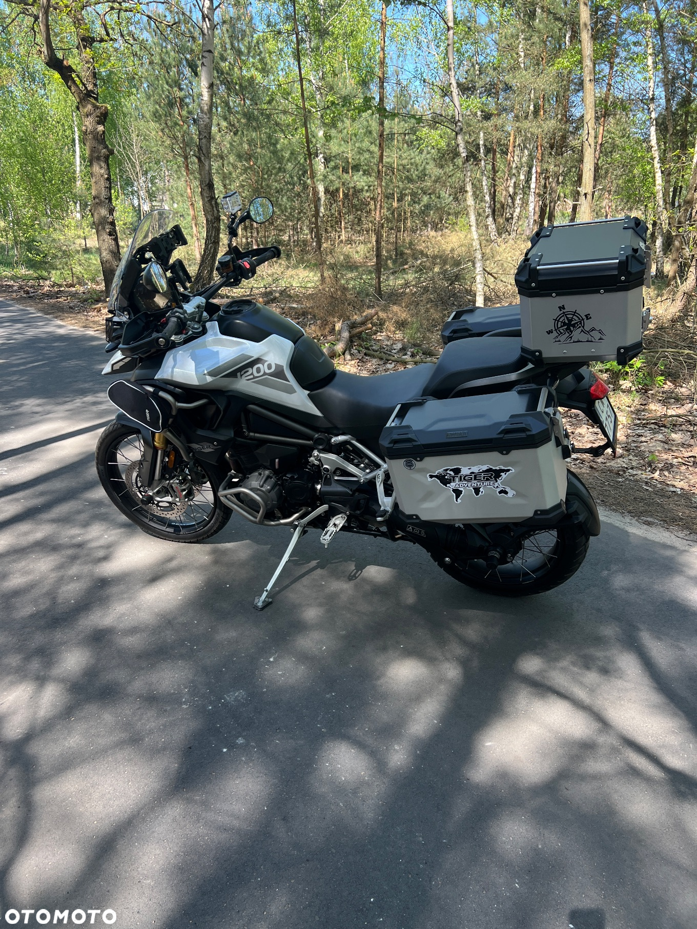 Triumph Tiger - 22