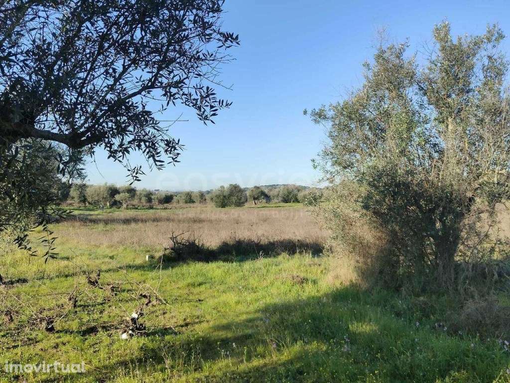 Terreno Rústico com 4750m2 localizado na freguesia de Vila Alva - Grande imagem: 5/12