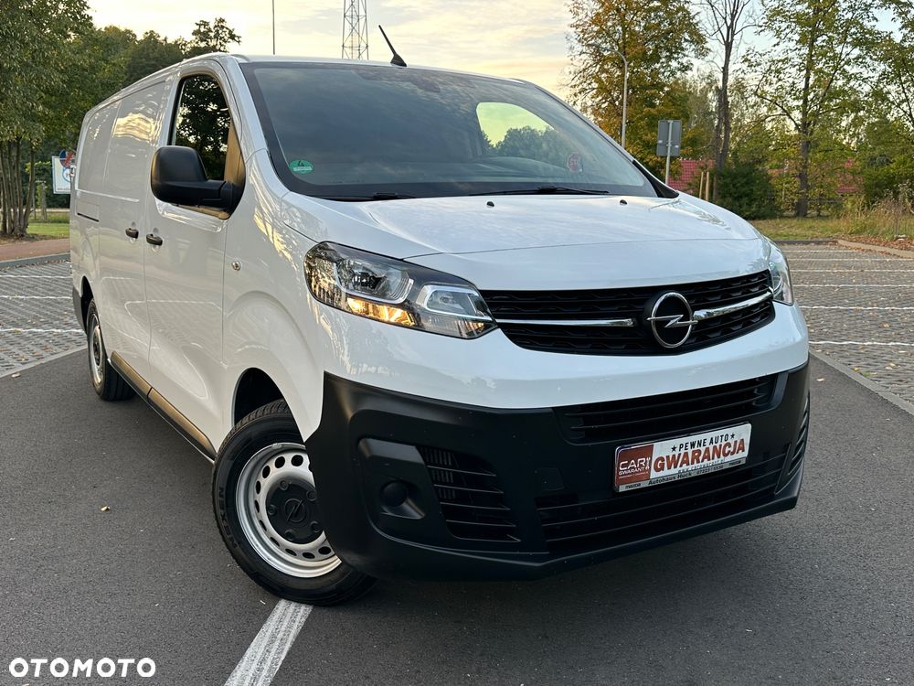 Opel VIVARO 4x4 Dangel - 25