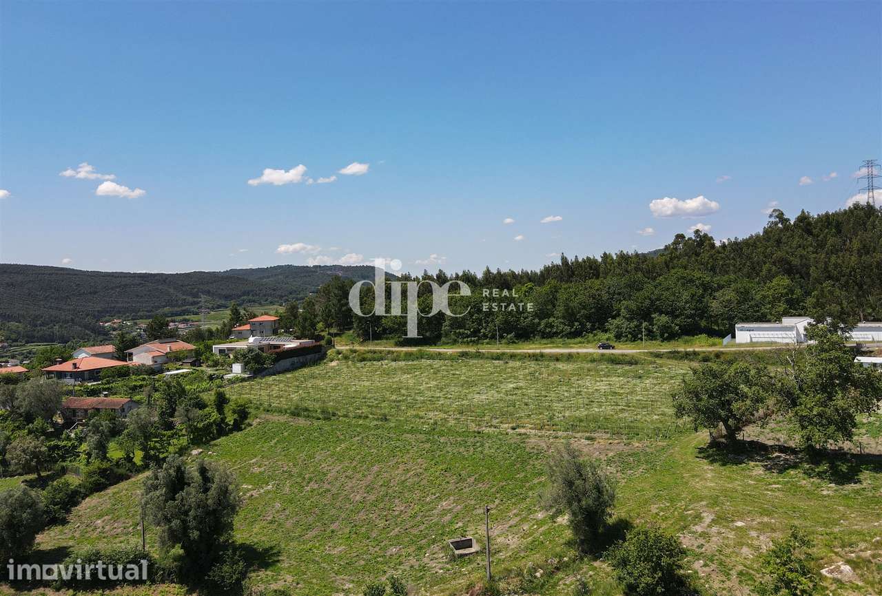 Quinta para restauro com 65.000 m2 - Grande imagem: 2/12