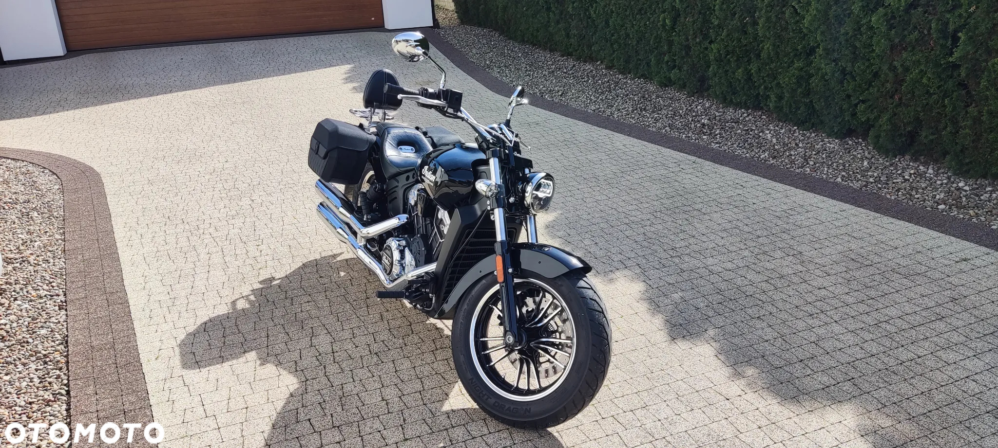 Indian Scout - 11