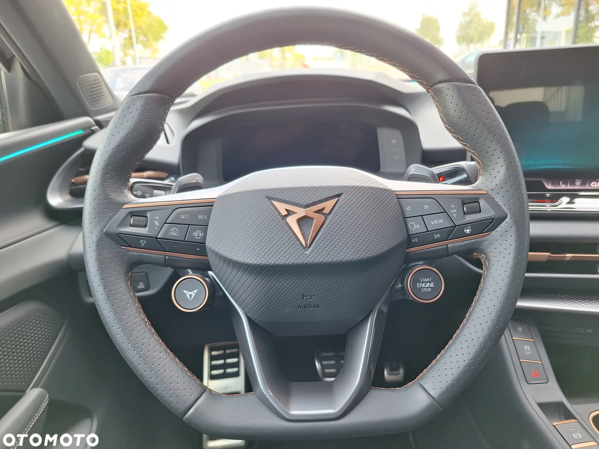 Cupra Terramar - 13