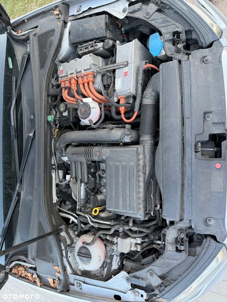 Volkswagen Golf - 25