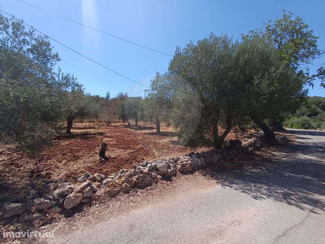 Terreno  para venda - Grande imagem: 4/11