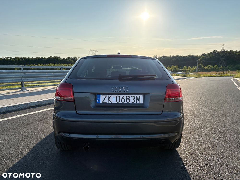 Audi A3 3-drzwiowe 1.6 Ambition - 5