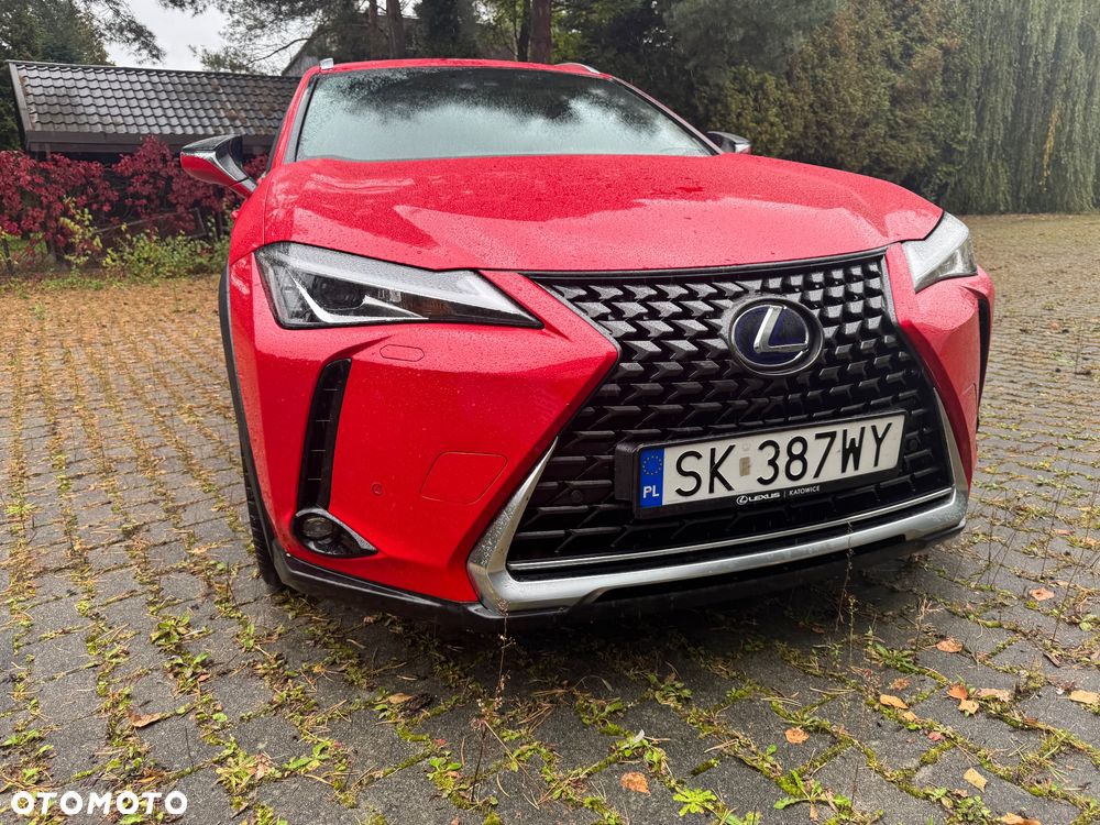 Lexus UX 250h GPF Business Edition 2WD - 2