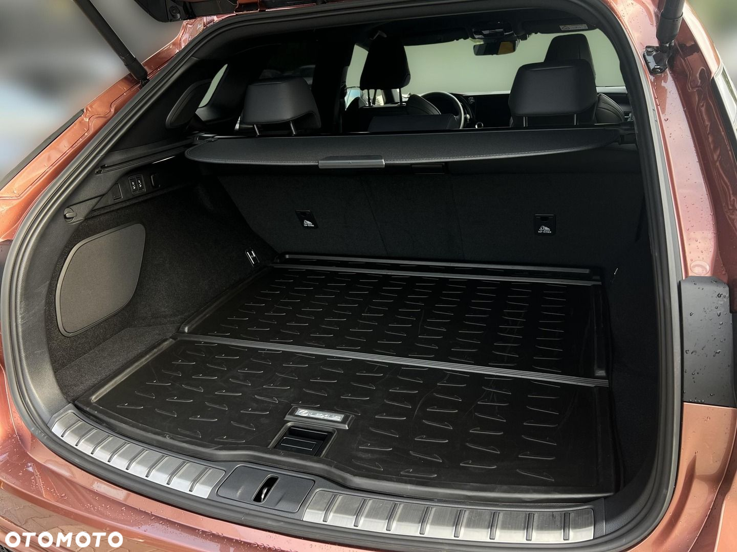 Lexus RX - 19