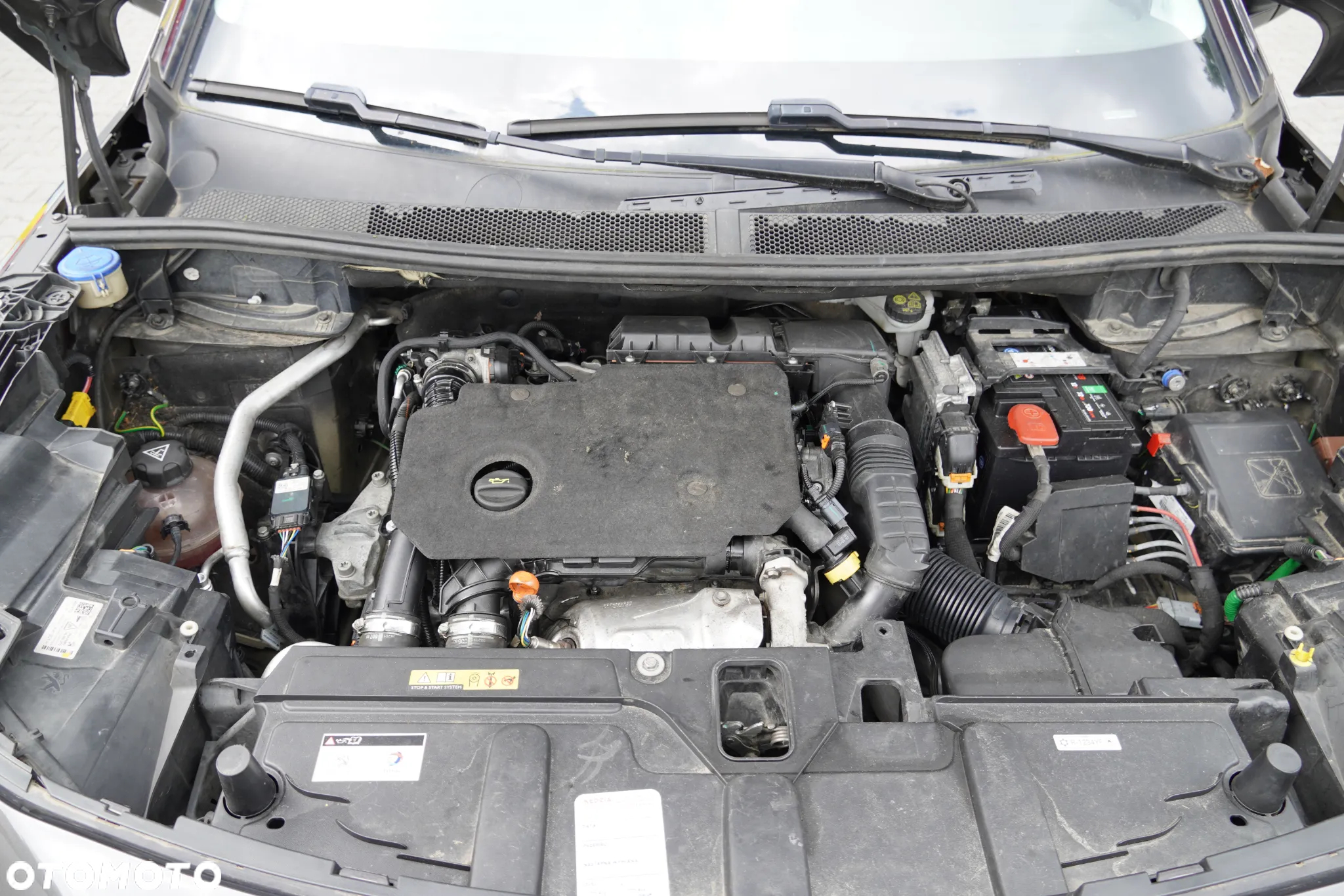 Peugeot 5008 1.5 BlueHDi Active Pack S&S EAT8 - 19