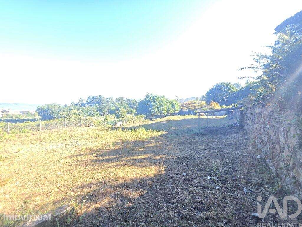 Terreno em Loivo - Grande imagem: 5/11