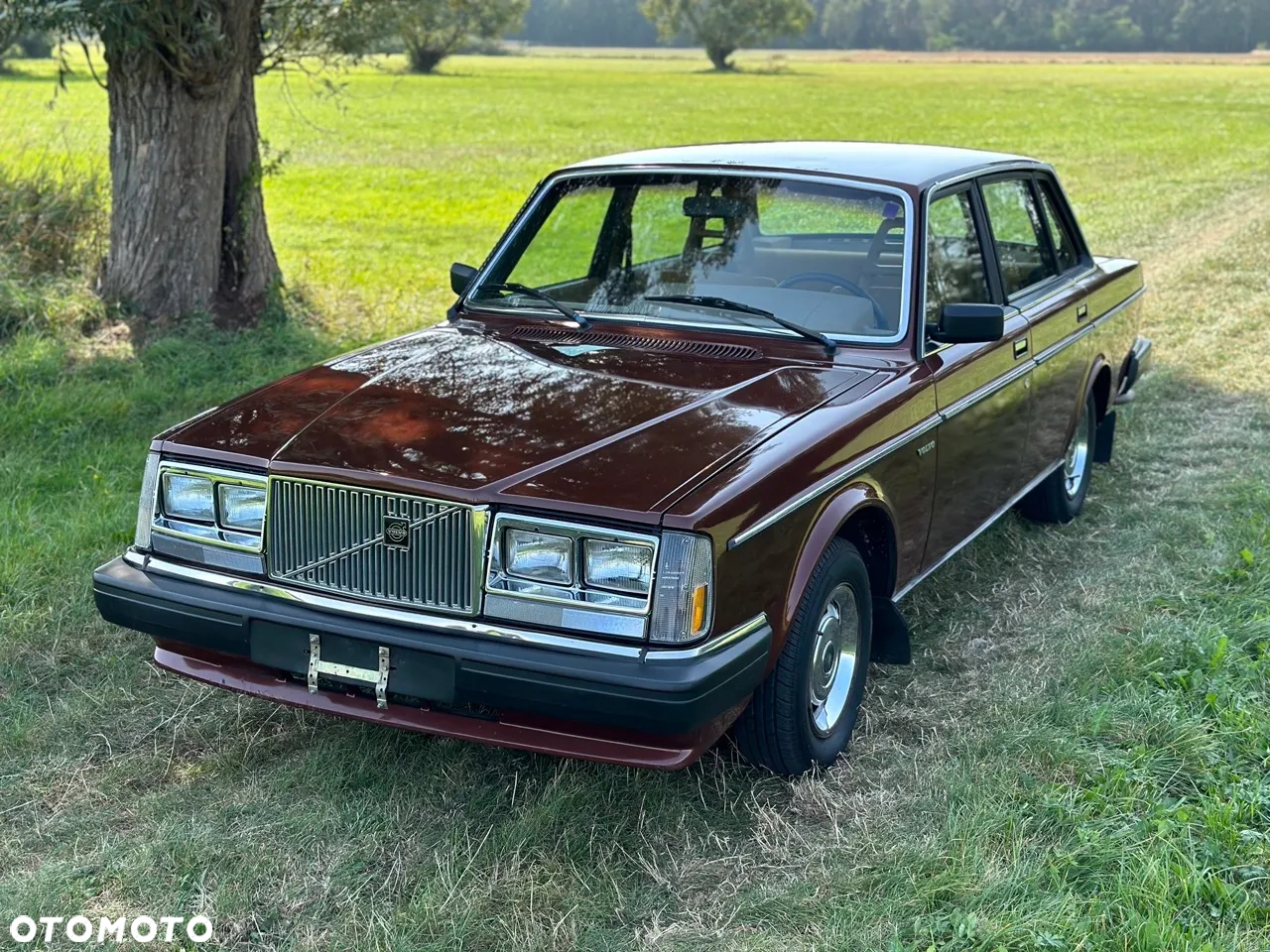 Volvo Seria 200 - 14