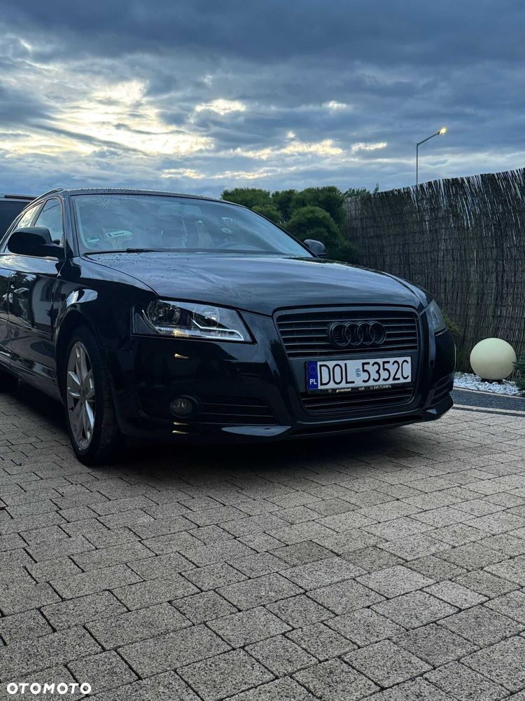 of the car