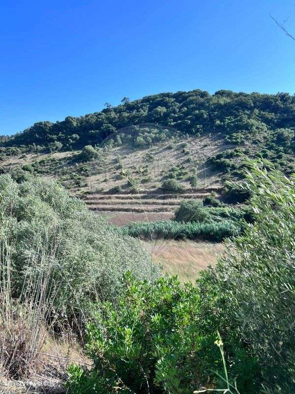 Terreno  para venda - Grande imagem: 2/9