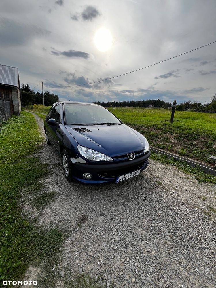 Peugeot 206 - 3