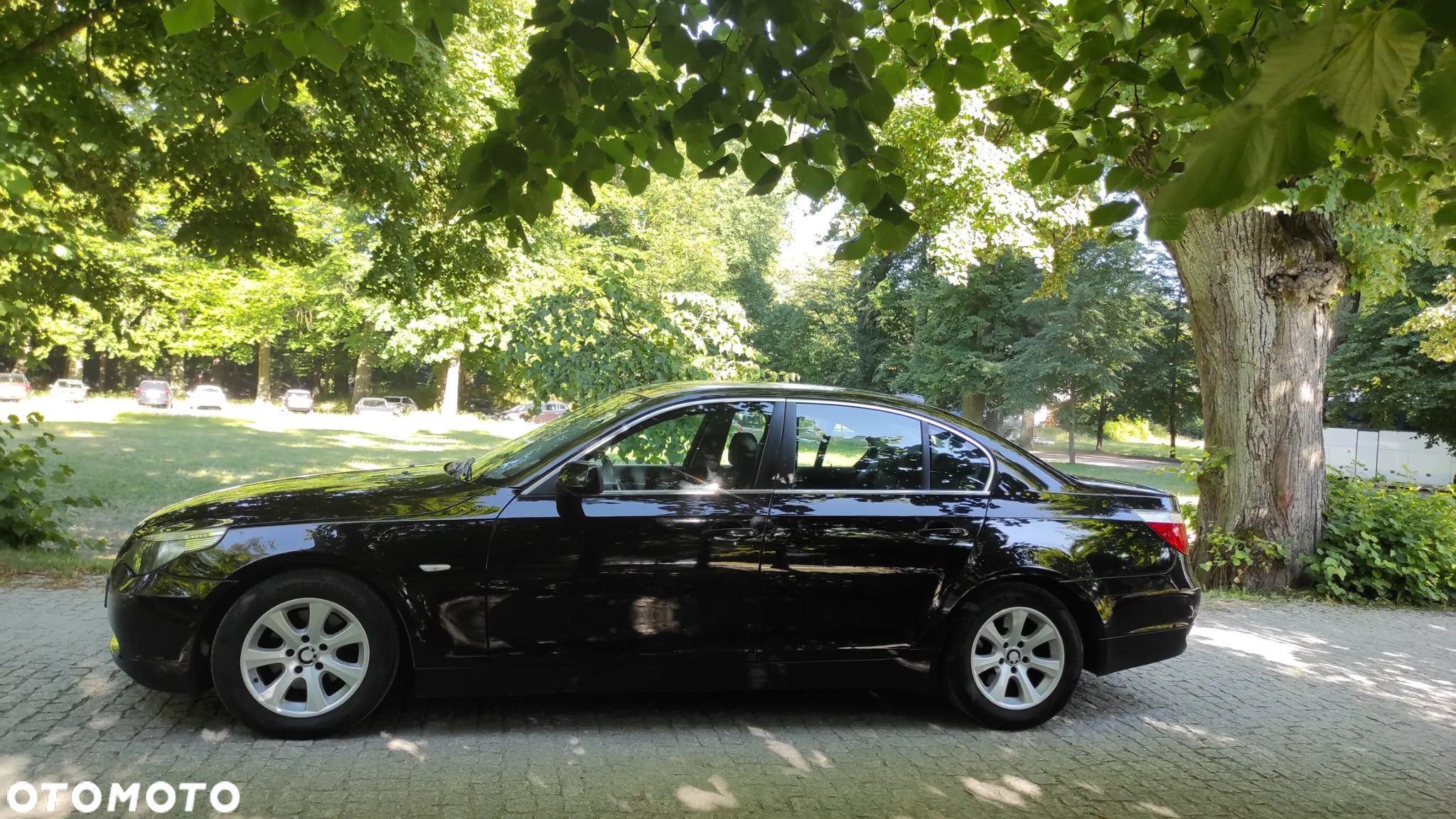 BMW Seria 5 520d - 15