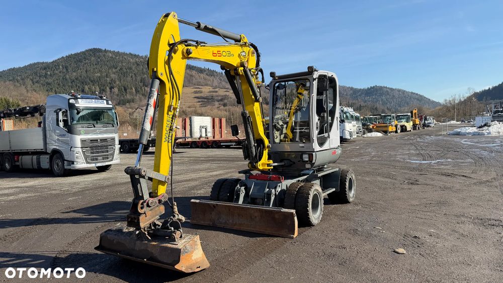 Wacker Neuson 6503 - 2