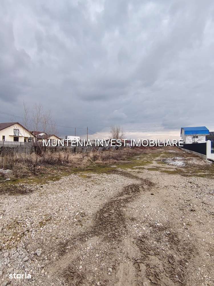 Oferta! pretabil investitie! Teren 7000 mp. Bradu, stradal - Imagine principală: 3/9