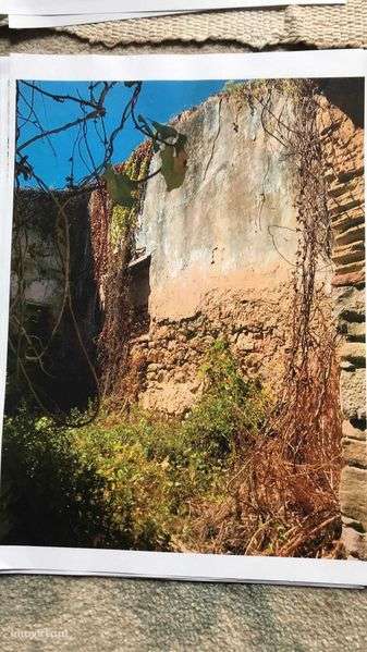 Ruína com Potencial para Moradia V2 na Lourinhã - Grande imagem: 3/6