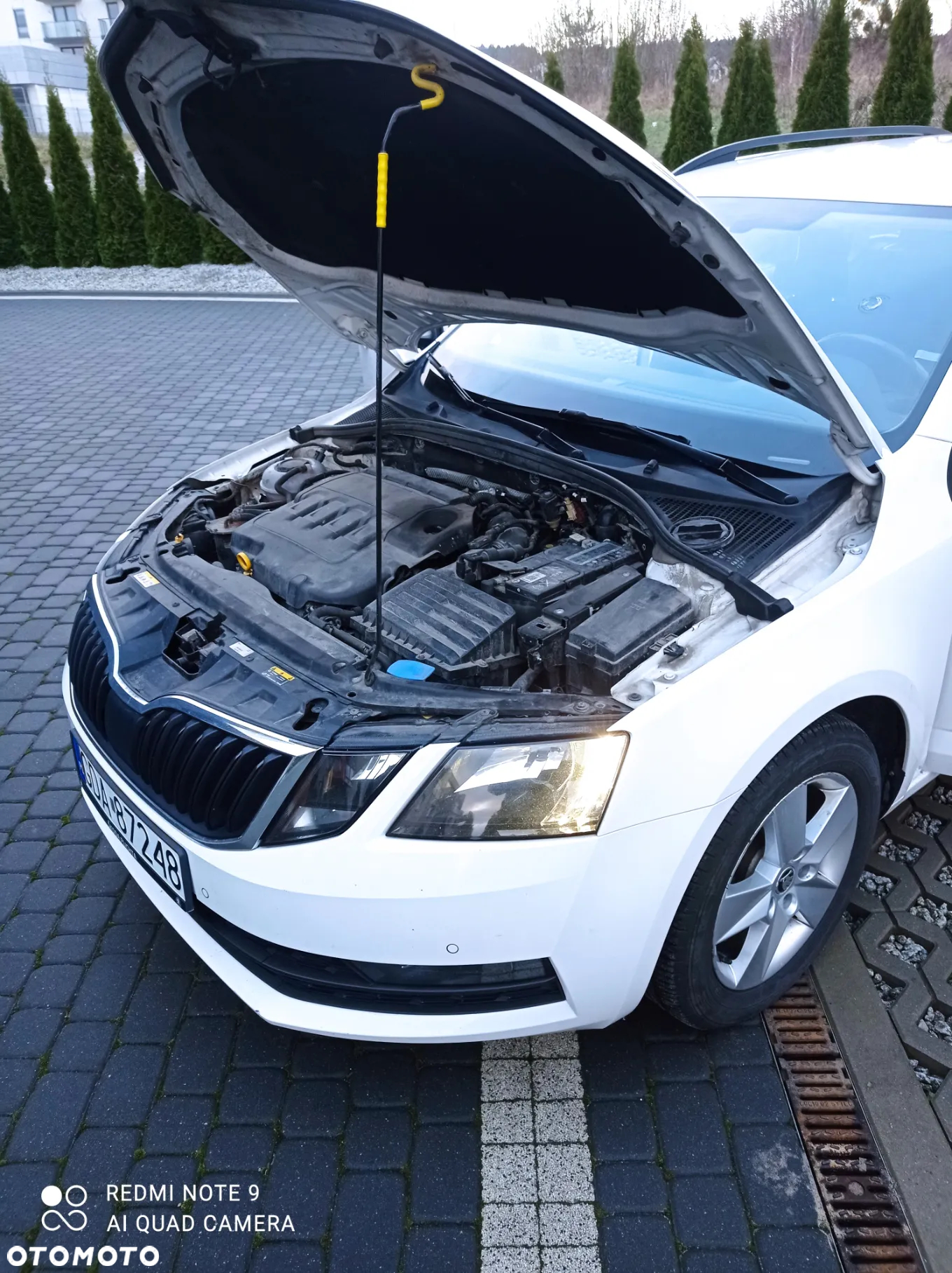 Skoda Octavia - 19