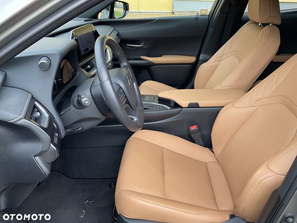 Lexus UX 250h GPF F Sport Design 2WD - 18