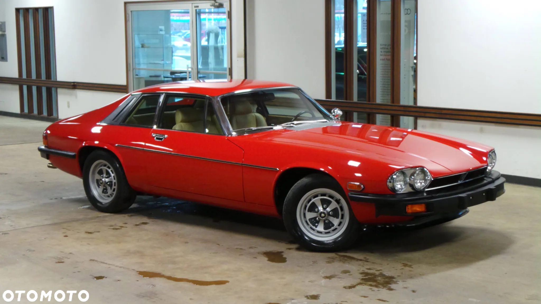 Jaguar XJS - 3