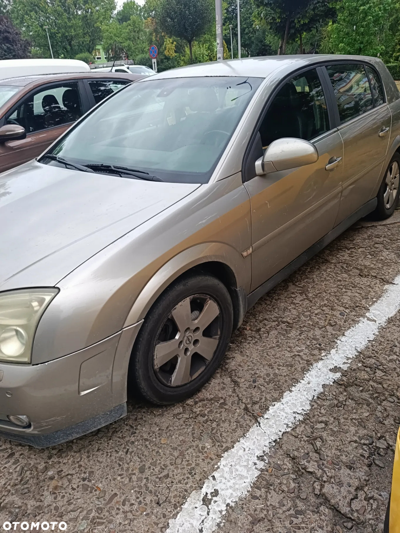 Opel Signum 3.2 Cosmo ActiveSelect - 3