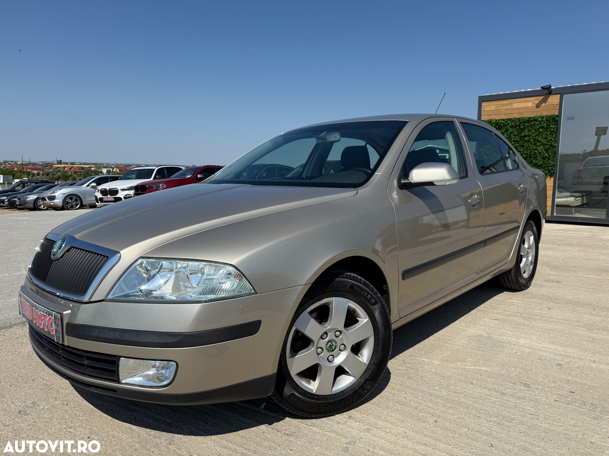 Skoda Octavia 1.9 TDI Business - 2