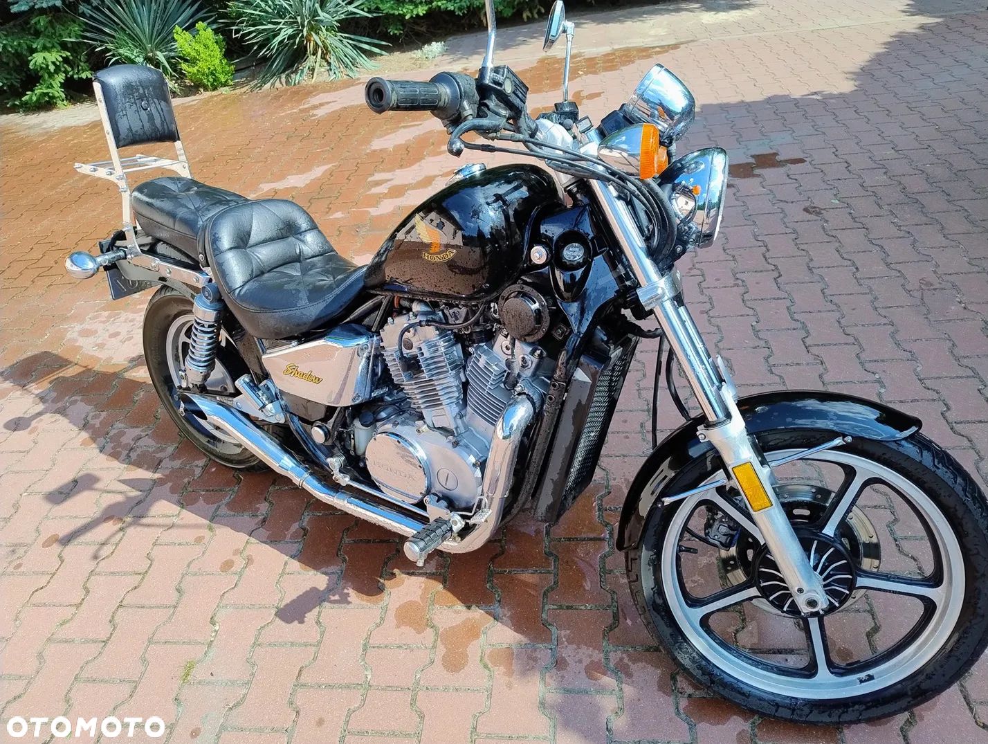 Honda Shadow - 1