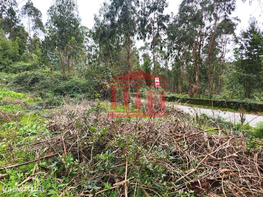 TERRENO PARA CONSTRUÇÃO - Grande imagem: 4/10