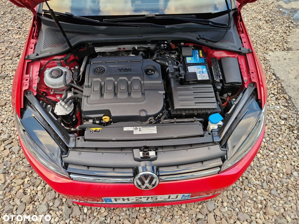 Volkswagen Golf - 28