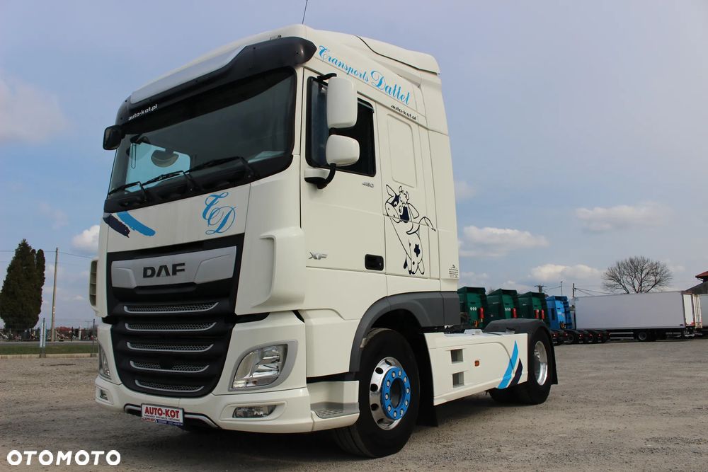 DAF XF 106.480 / RETARDER /LODÓWKA /KLIMA POSTOJOWA /OPONY 80%/**SERWIS FR **/ IDEALNY STAN / - 22