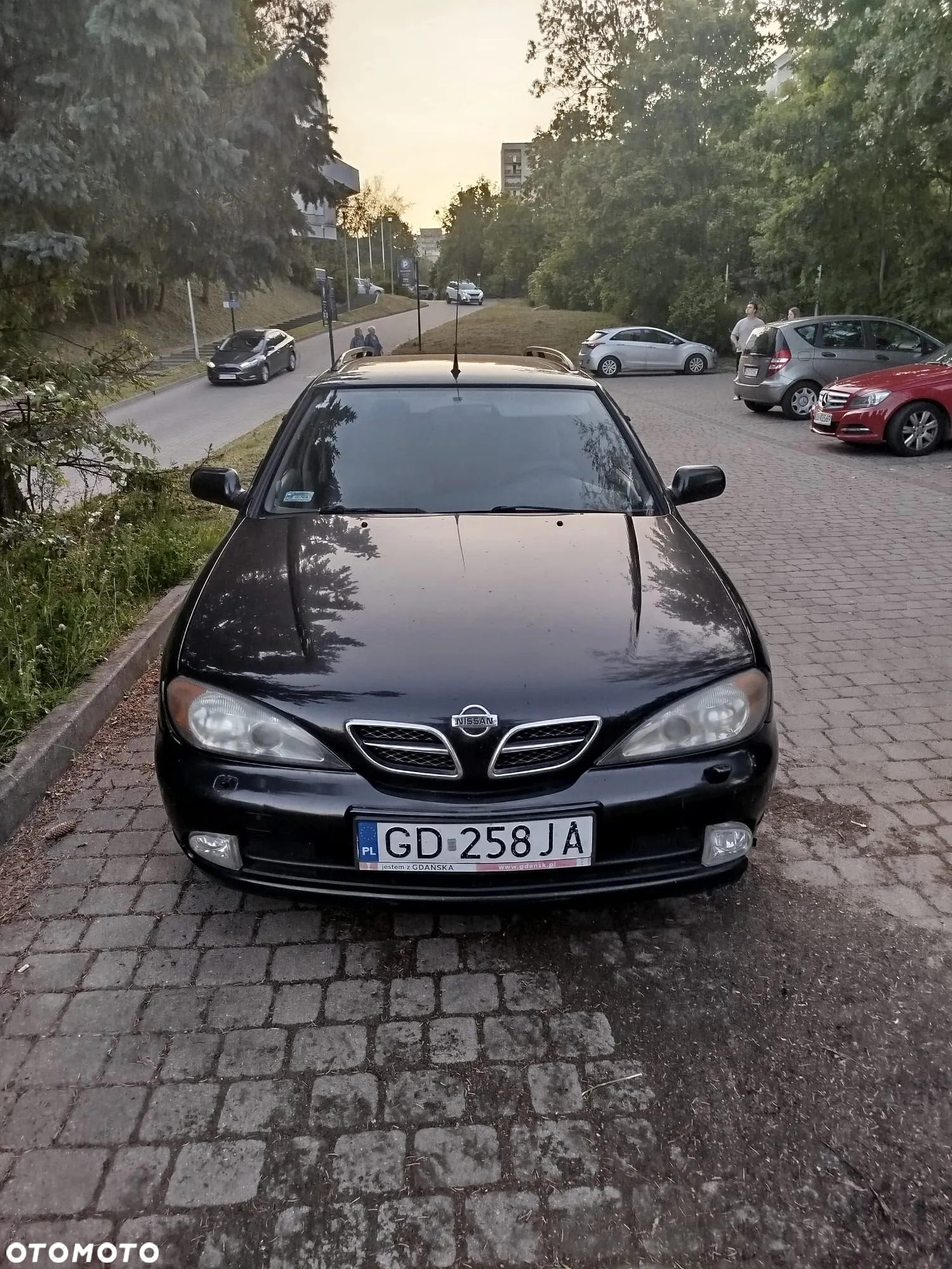Nissan Primera 2.0 Comfort High - 3