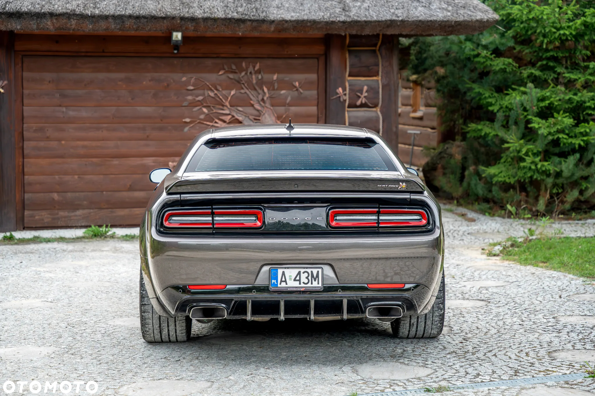Dodge Challenger 6.4 Scat PackWidebody - 20