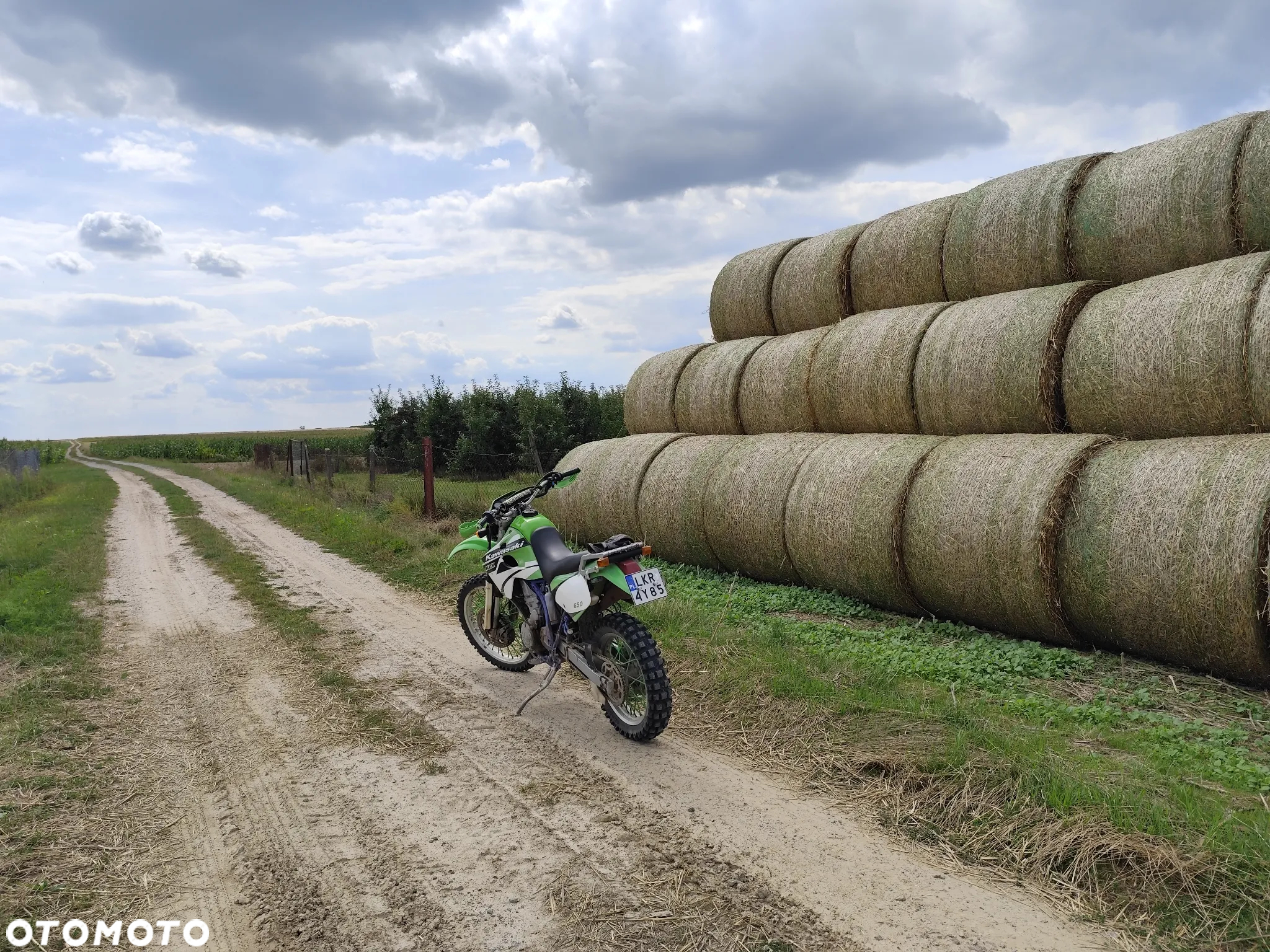 Kawasaki KLX - 4