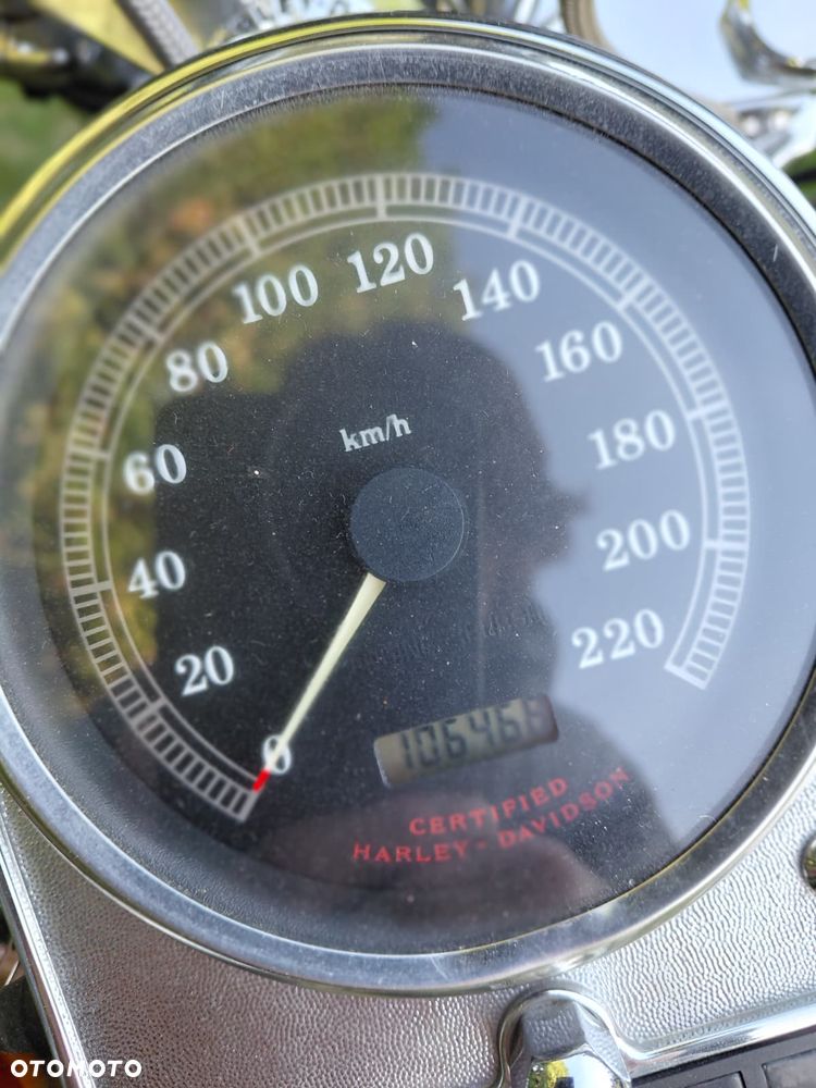 Harley-Davidson Softail Custom - 2