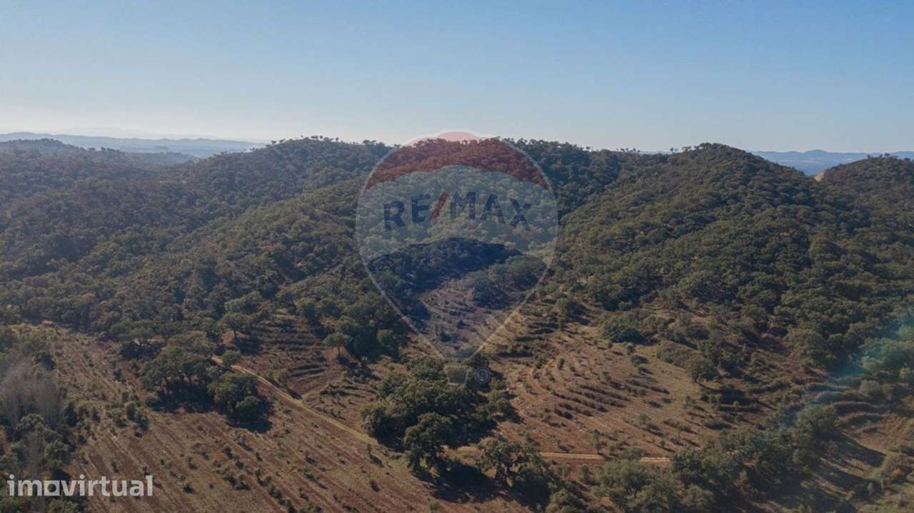 Quinta T0 para venda - Grande imagem: 2/21