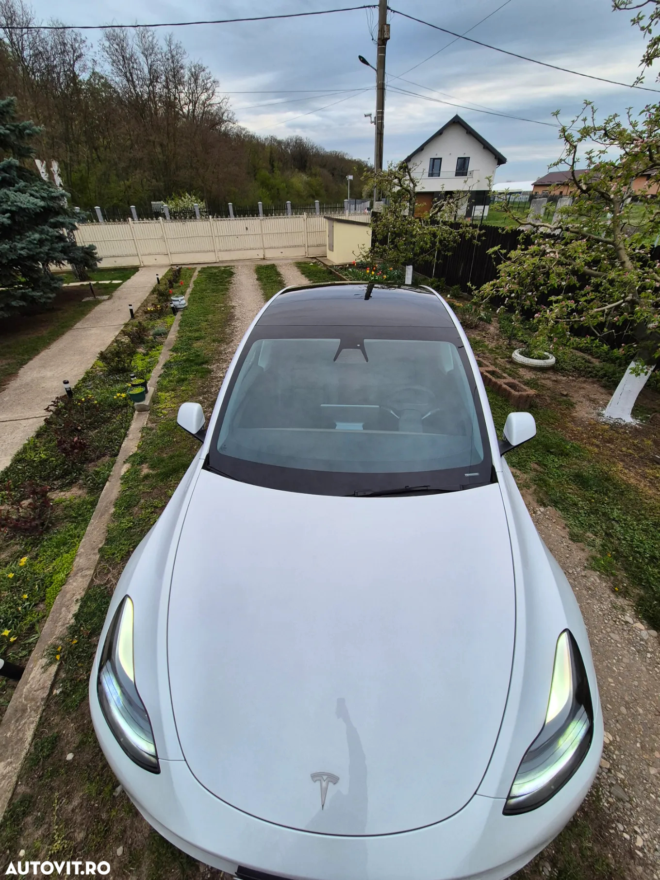 Tesla Model Y - 9
