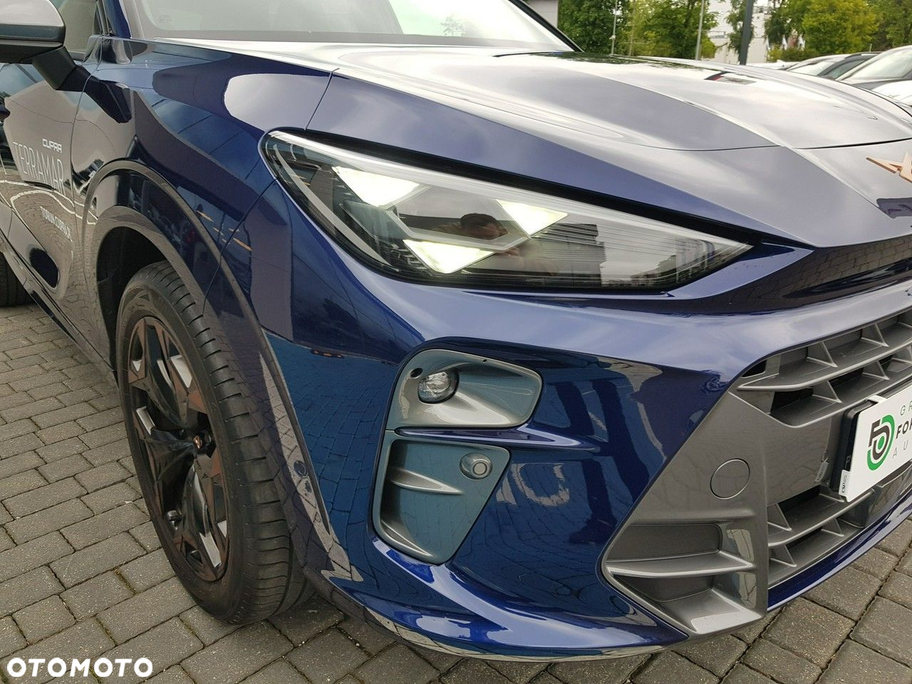 Cupra Terramar - 39