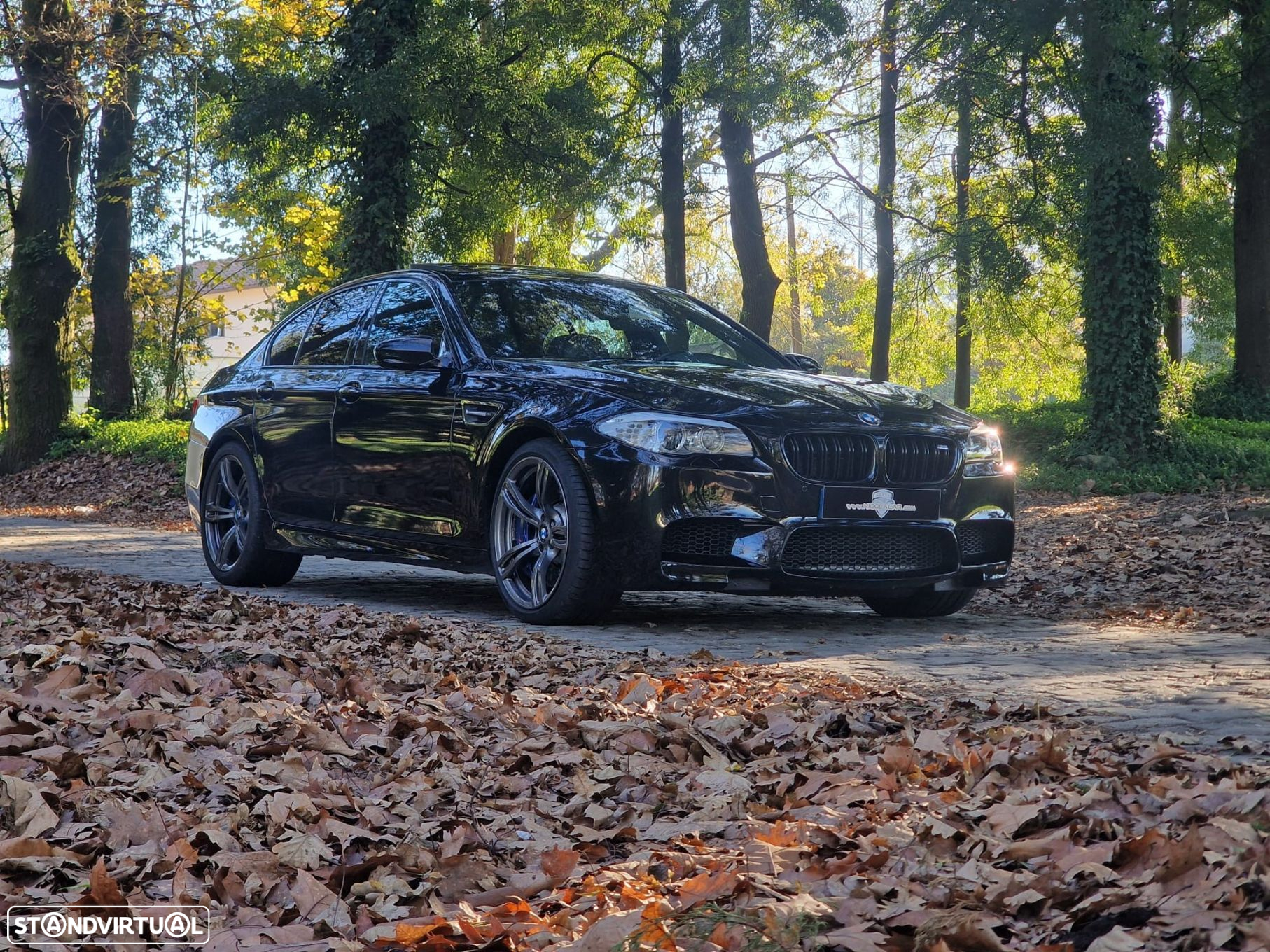 BMW M5 Standard - 2