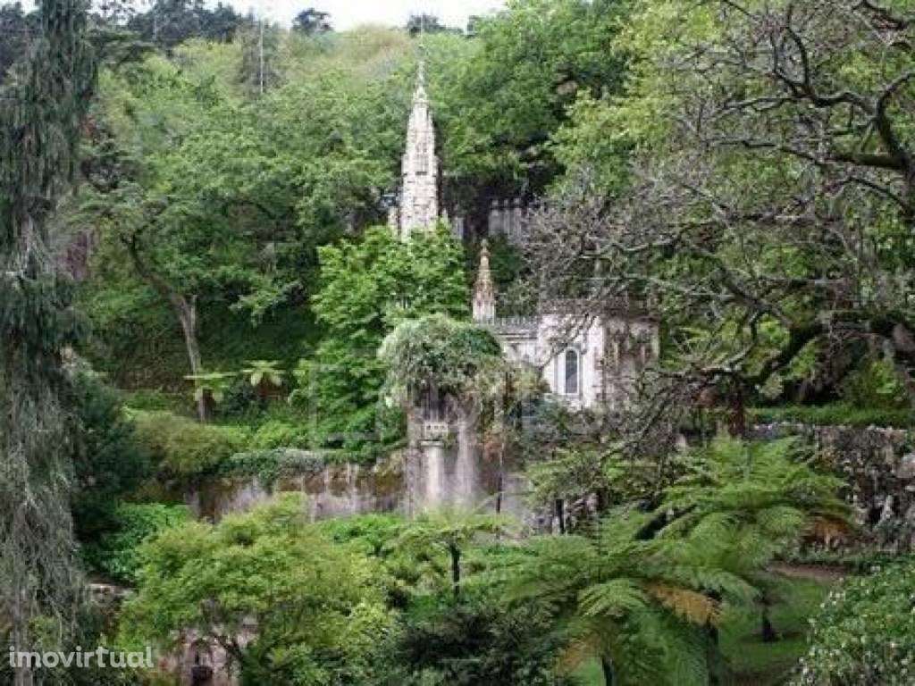 Terreno urbano 3066 m², com ruína centenária e vista monumentos, em... - Grande imagem: 4/20